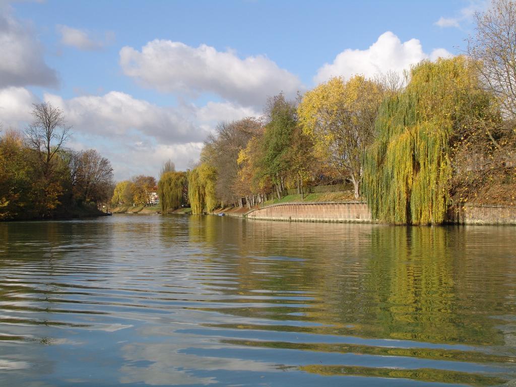 Chambre Avec Jardin Pierre Curie Bry-sur-Marne Rum bild