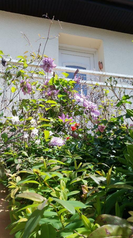 Chambre Avec Jardin Pierre Curie Bry-sur-Marne Exteriör bild