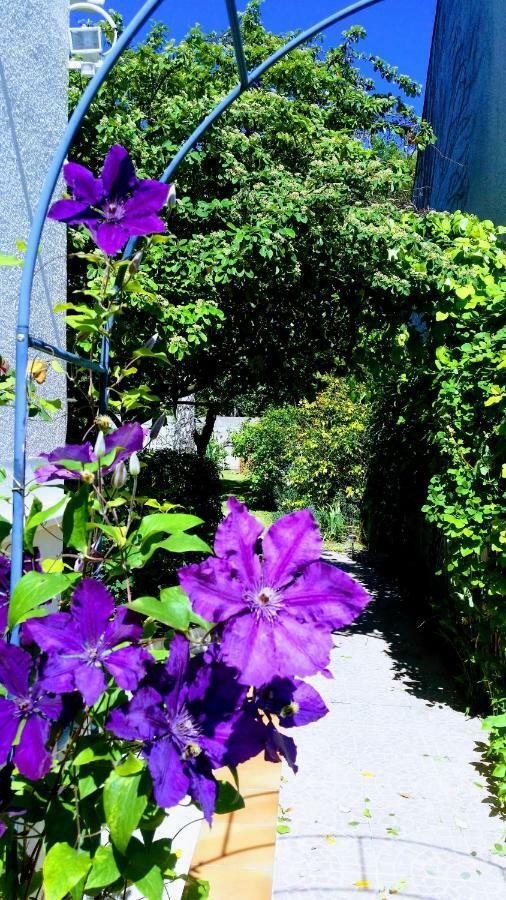 Chambre Avec Jardin Pierre Curie Bry-sur-Marne Exteriör bild